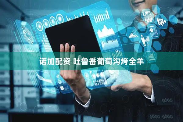 诺加配资 吐鲁番葡萄沟烤全羊